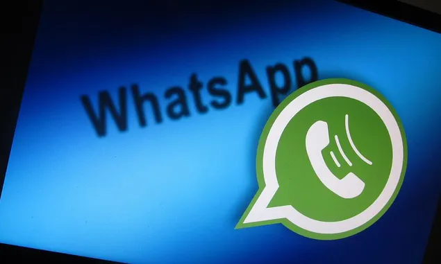 WhatsApp GB Dianggap Solusi, Berikut Fitur dan Dampaknya Bagi Pengguna