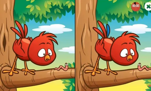 Tes Fokus : Temukan Semua Perbedaannya Gambar Ayam Sama Cacing di atas Pohon Jika Memang Mata Anda Normal