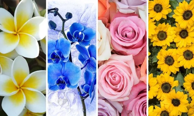 Tes Psikologi: Pilih Bunga dan Ketahui Sifat yang Tersembunyi dalam Diri