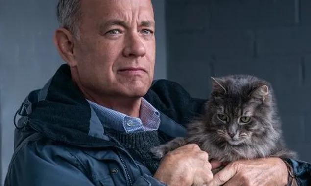 Sinopsis Film A Man Called Otto, Film dengan Kisah Mengharukan dari Tom Hanks