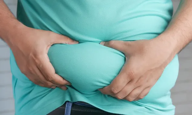 Hindari Obesitas, Berikut Tips Menjaga Pola Makan Normal Demi Berat Badan Ideal