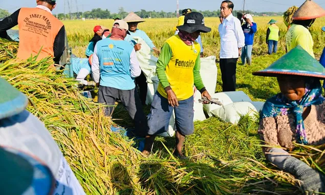 Kabupaten Sragen Alami Kenaikan Hasil Panen dalam Perubahan Iklim pada Panen Raya Padi Nusantara 1 Juta Hektar
