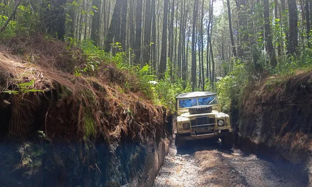 Wisata Petualangan dengan Land Rover di Perkebunan Teh Ciater. Simak Keunikan Destinasi Wisatanya!