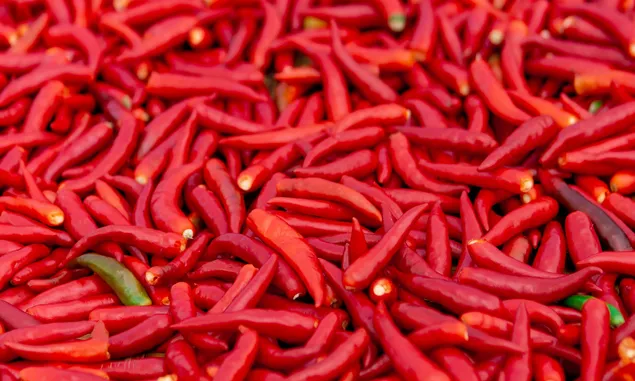 Cabe Rawit Merah Tembus Rp100.000 Per Kg, Ini  Perkembangan Harga Pangan di Ternate