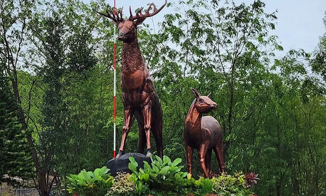 Wisata Taman Rusa Batam: Ini Biaya Masuk, Jam Buka, dan Daya Tarik Mini Zoo yang Ramah Anak