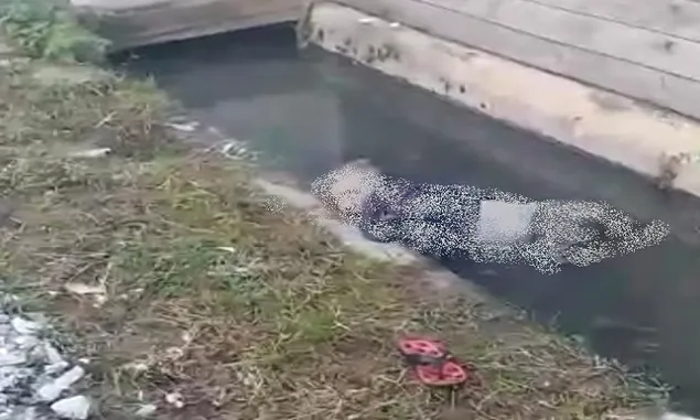{WARTA TERKINI} Warga Gang Usaha Sungai Pinyuh Heboh, Mayat Pak Alau Ditemukan di Dalam Parit 
