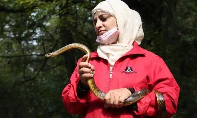Aaliya Mir, Wanita Kashmir Penyelamat Ular, Beruang, Macan Tutul, dan Binatang Buas Lainnya