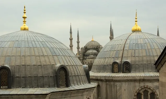 Mimar Sinan, Arsitek Turki Usmani yang Membuat Struktur Tahan Gempa Berkat Telur Burung Unta dan Bawang