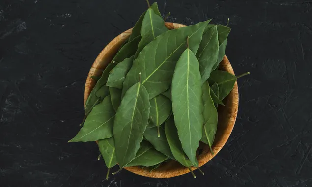 Selain Untuk Pengharum Masakan, Daun Salam Memiliki Manfaat Hebat untuk Kesehatan