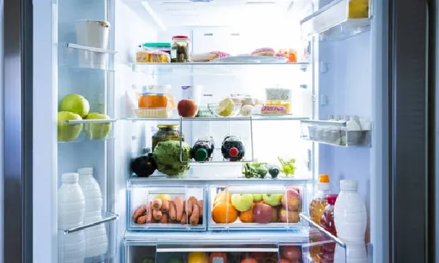 Cara Menghilangkan Bau Busuk di Kulkas, No 1-5 Tak Perlu Bongkar Makan yang Terlanjur di Simpan