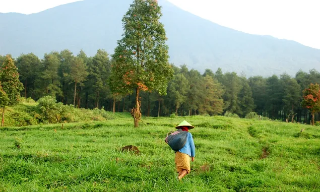 6 Tempat Wisata Terpopuler di Jawa Barat yang Wajib Dikunjungi