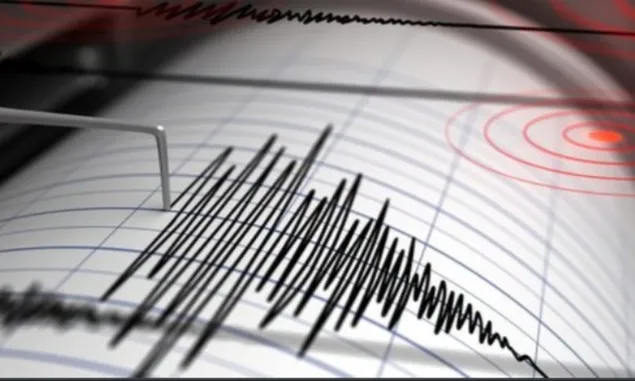 Gempa Bumi Magnitudo 2,5 Guncang Borong Manggarai Timur