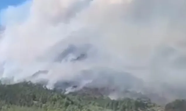 1990 Hektar Lahan dan Hutan Gunung Lawu Terdampak Kebakaran, 700 Hektarnya Ada di Magetan, Daerah Ini Terluas