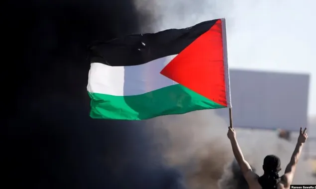 Pakar Ungkap Berbagai Upaya Pemerintah Indonesia Bagi Palestina