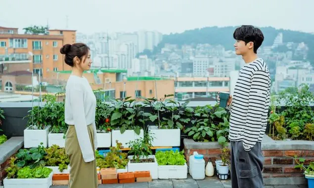 Jadwal Drama Korea Tayang Bulan Januari 2024: Ada Doctor Slump dari Park Hyung Sik dan Park Shin Hye (Part 2)