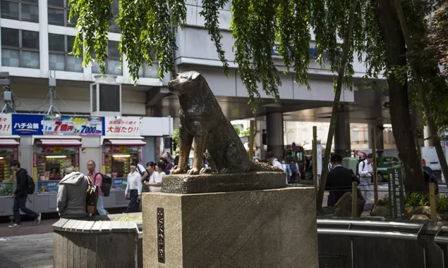 Patung Anjing Hachiko di Stasiun KA Shibuya Tokyo Sebagai Lambang Kesetiaan 