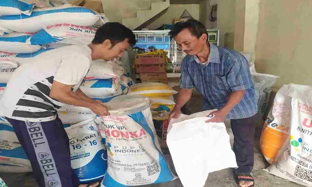 Petani di Kecamatan Baregbeg Ciamis menjerit, Pupuk Bersubsidi Dipangkas Hingga 50 Persen. 