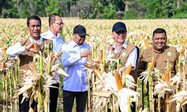 Sekda Aceh Besar Terima Bantuan DAK Rp 10 Miliar dari Kementerian Pertanian untuk Peningkatan Pertanian