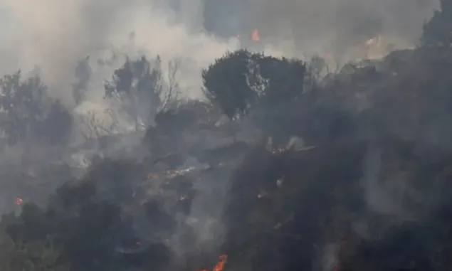 Korban Jiwa Kebakaran Hutan Chile Terus Bertambah, 132 Orang Dilaporkan tewas 