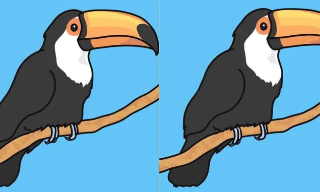Tes IQ dan Penglihatan: Temukan 3 Perbedaan Pada Gambar Burung Toucan dalam Waktu 12 Detik!