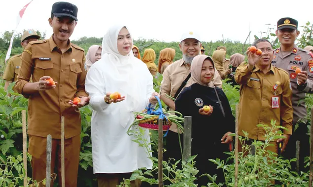 Panen Sayur P2l KWT Berkah Kaliputat, Bupati Banjar Ingatkan Kekompakan hingga Berikan Bantuan