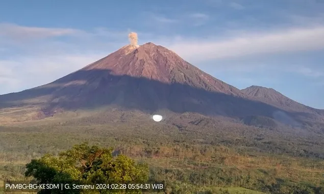 Deretan Fakta Erupsi Gunung Semeru Selama Kurang dari 2 Menit