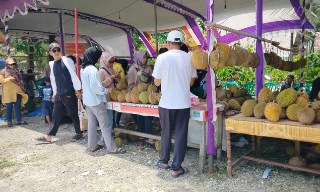 Manis dan Legit, Durian Lato-lato Diserbu Pengunjung Festival Durian Lokal di Batuhiu Pangandaran 