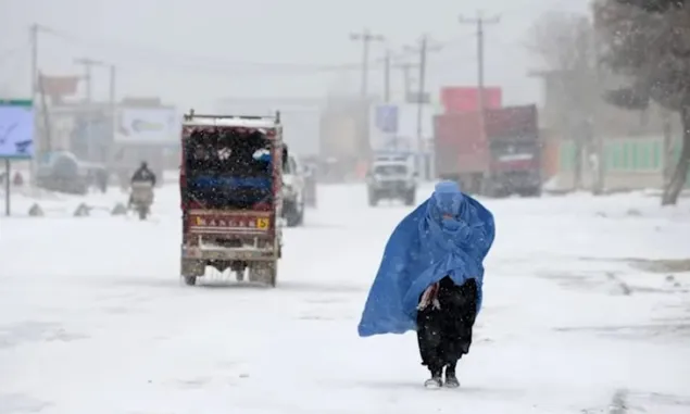 Hujan Salju 3 Hari, 15 Orangtewas Puluhan Terluka dan Ribuan Hewan ternak Mati