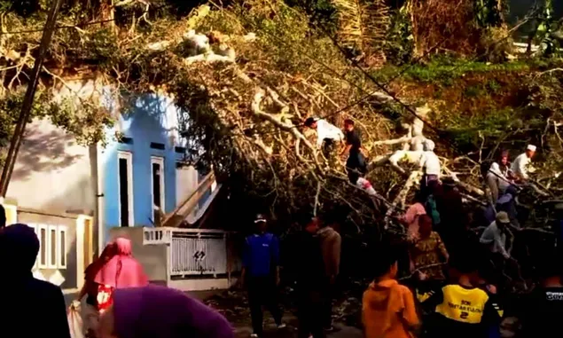 Pohon Beringin Tumbang di Puncak, 3 Rumah dan 4 Motor Rusak, Aliran Listrik dan Telekomunikasi Terputus