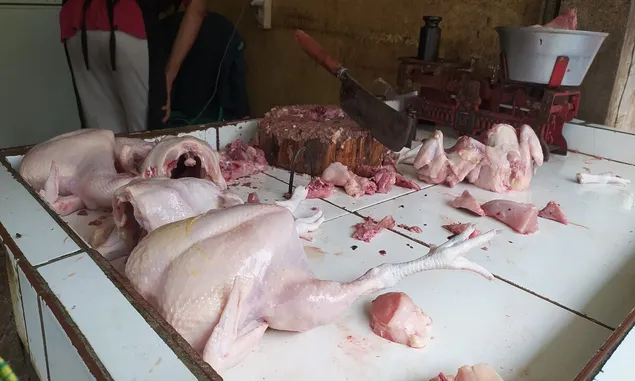 H-11 Jelang Lebaran, Harga Daging Ayam di Pasar Kota Banjar Kembali Normal