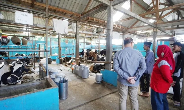 Produsen Keju dan Butter Lokal: Kisah Sukses dari Desa Tlekung
