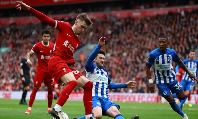Hasil Liga Inggris Liverpool vs Brighton : The Reds Sukses Amankan Tiga Poin 