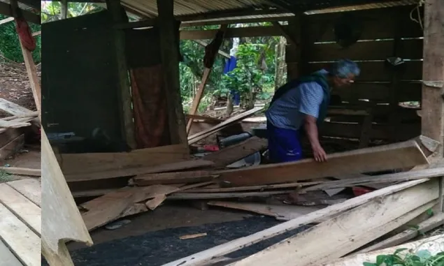 Gajah Obrak-abrik Rumah Warga Lampung Barat di Suoh, Camat: Konflik Satwa Ganggu Perekonomian