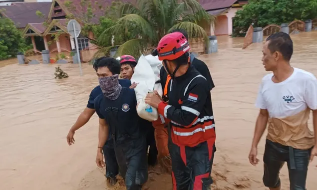Dampak Banjir dan Longsor di Kabupaten Luwu, 14 Warga Meninggal Dunia