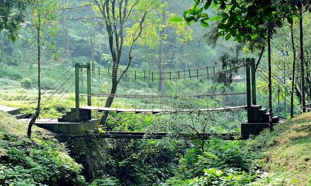 Panjangnya 120 Meter, Jembatan di Sumedang Ini Bisa Jadi Spot Foto Instagramable dengan Latar Sawah dan Sungai