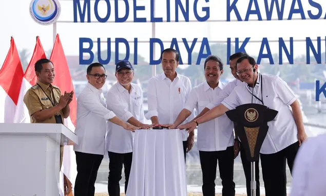 Bidik Pasar Dunia, Presiden Jokowi Dukung Pengembangan Budidaya Ikan Nila