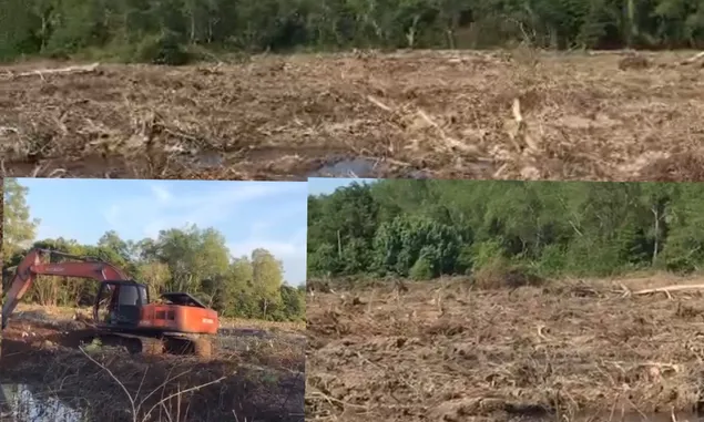 LBH Medan Pertanyakan Lambannya Polda  Sumut Menangani Kasus Perambahan Hutan Mangrove di Kabupaten Langkat