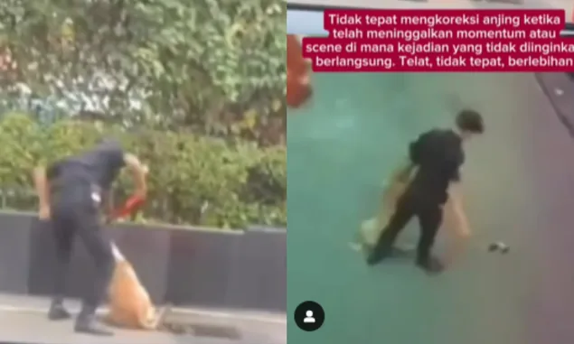 Heboh Satpam Plaza Indonesia Pukul Anjing, Benarkah Demi Selamatkan Anak Kucing? Begini Analisisnya