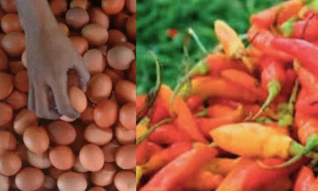 Harga Pangan di Gorontalo Merangkak Naik: Cabai Rawit Merah dan Telur Ayam Ras Terjadi Lonjakan!
