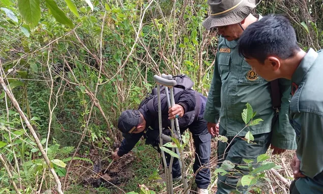 Macan Tutul Jawa Ditemukan Mati Terjerat di Gunung Lancang Garut