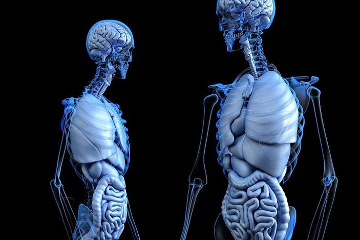 Hasil Penelitian: Suplemen Kalsium Ternyata Bisa Tingkatkan Massa Tulang pada Orang Dewasa