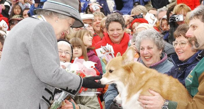 Ratu Elizabeth II dan Kecintaannya pada Anjing Corgi, Nasib ‘Anak Bulunya’ Kini Terungkap
