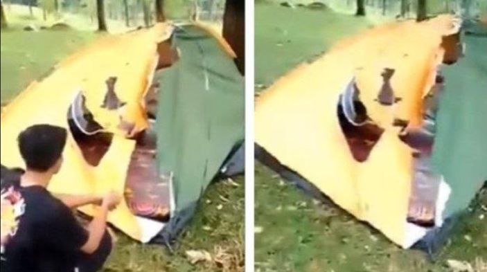 Viral! Pasangan Muda-mudi Tersambar Petir saat Berkemah, Si Pria Tewas Terkapar Tak Berdaya Dalam Tenda