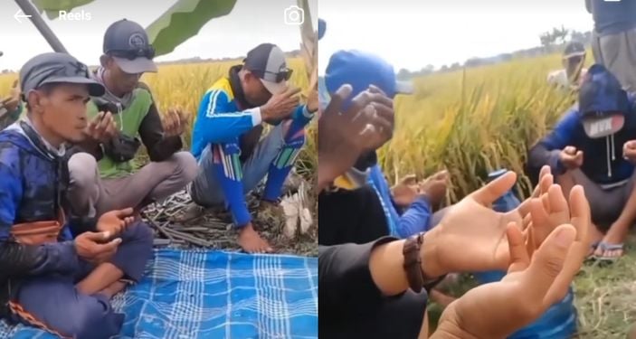 Viral, Sekelompok Pria di Sawah Minta Google Assistant Bacakan Doa Sebelum Makan
