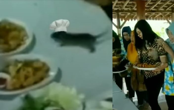 Viral! Tikus Jatuh Gagalkan Foto Bersama Ibu-ibu di Prasmanan, Warganet: Koki Sesungguhnya Datang