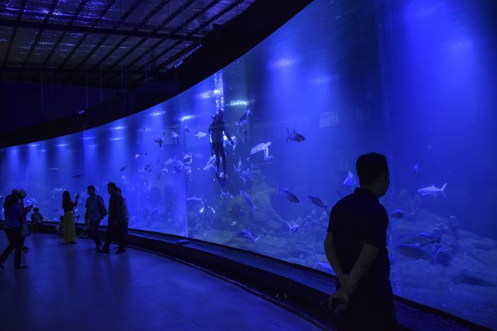 Harga Tiket Masuk Aquarium Indonesia Pangandaran, Tempat Wisata Akuarium Terbesar yang Baru Diresmikan