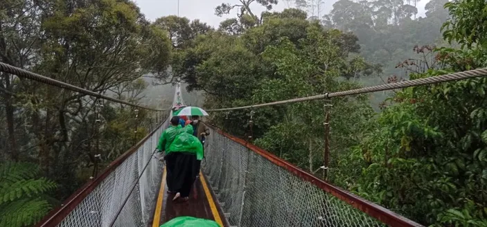 Wisata Rengganis Suspension Bridge, Tawarkan Sensasi Berjalan Di Atas ...