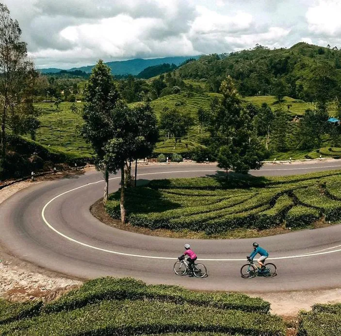 Rekomendasi Tempat Wisata Murah Meriah di Bandung, dari Perekebunan Teh