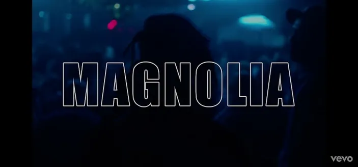 Lirik Lagu Magnolia - Playboi Carti dan Fakta di Baliknya