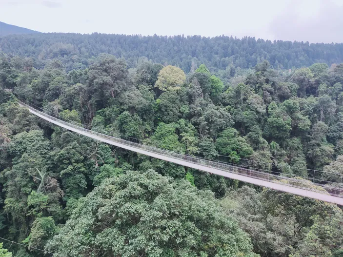 Baru! Situ Gunung Sekarang Punya Lembah Purba, Rekor Jembatan ...